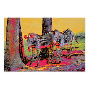 Colourful Zebras Photo Print