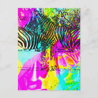 Colourful Zebras Postcard