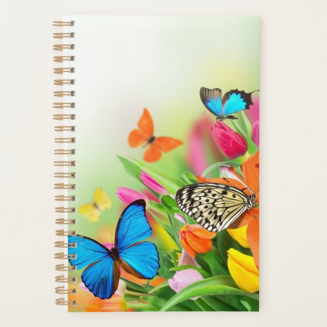 Colourfull butterflies small Planner (Front)