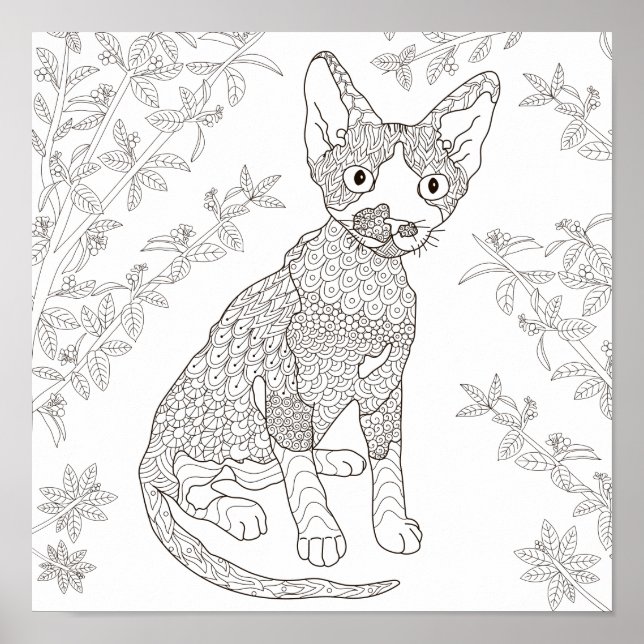 Colouring Page Cat in Garden Poster (Front)