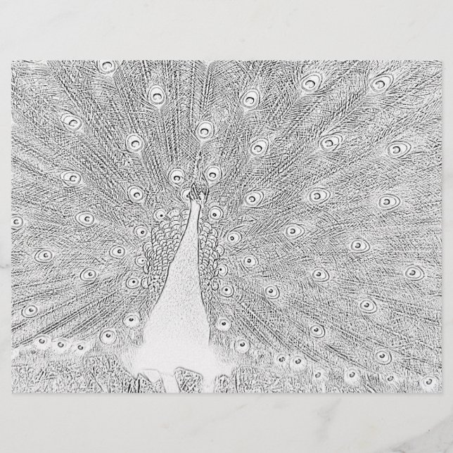 Colouring Page - Peacock with Fanned Tail (Front)