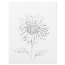 Colouring Page - Sunflower