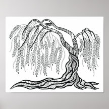 Colouring Weeping Willow Tree Poster