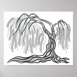 Colouring Weeping Willow Tree Poster