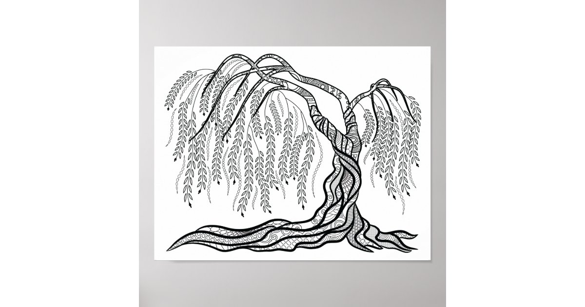 Colouring Weeping Willow Tree Poster Zazzle