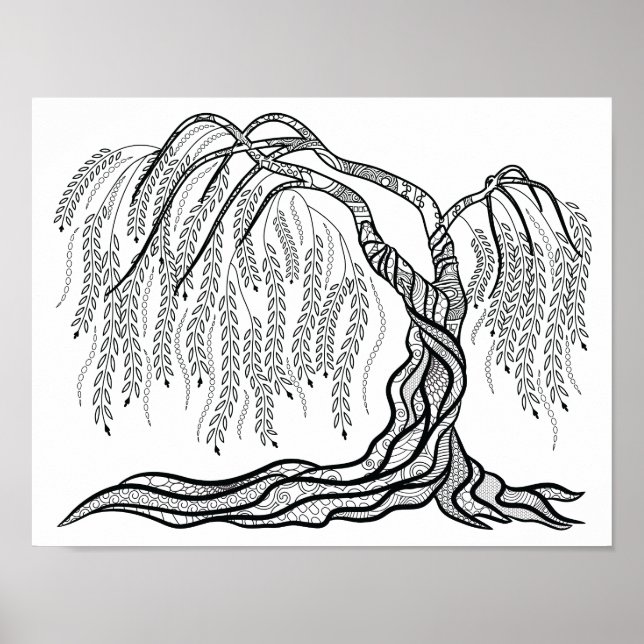 Colouring Weeping Willow Tree Poster (Front)
