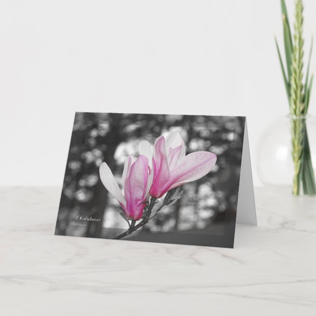 Colourized tulip magnolia card (Front)