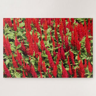 Colours 1 jigsaw puzzle