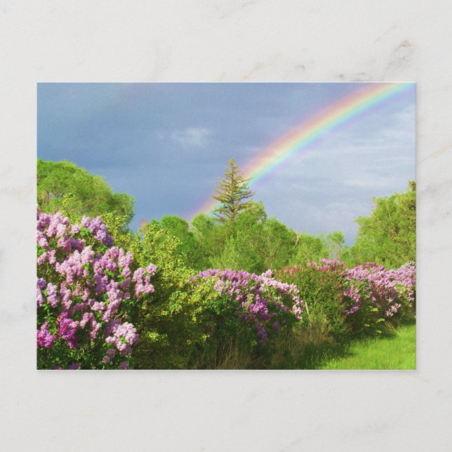 colours in nature card (Front)