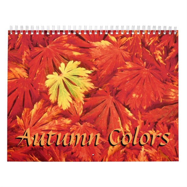 Colours of Autumn  2018 Calendar (Cover)