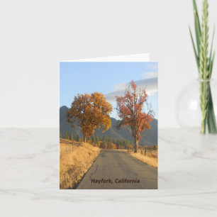 Colours of Autumn...... Card