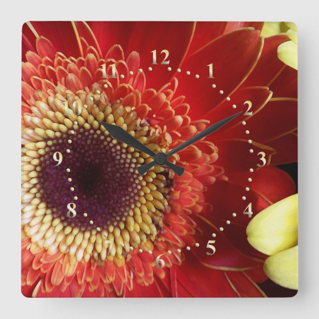 Colours of Gerberas Square Wall Clock (Front)