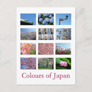 Colours of Japan (blue/white/pink) Postcard