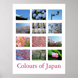 Colours of Japan (blue/white/pink) Poster