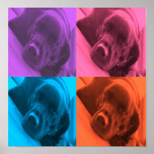 colours of Lab poster (Front)