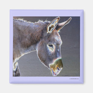 Colours of Light Donkey Magnet