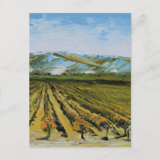 Colours of Napa Valley, Wine Country California Postcard