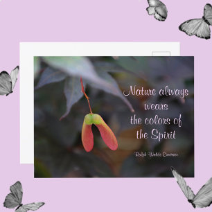 Colours of Nature Emerson Quote Photographic Postcard