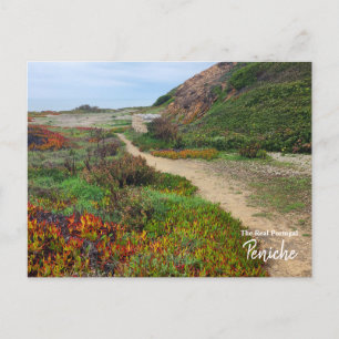 Colours of Peniche- Portugal Postcard