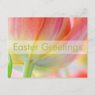 Colours of Spring • Easter Postcard