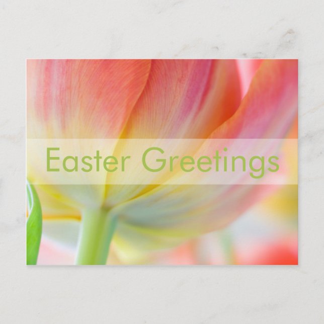 Colours of Spring • Easter Postcard (Front)