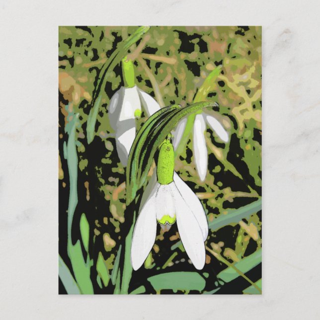 Colours of Spring Postcard (Front)