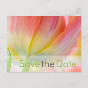 Colours of Spring • Save the Date Postcard
