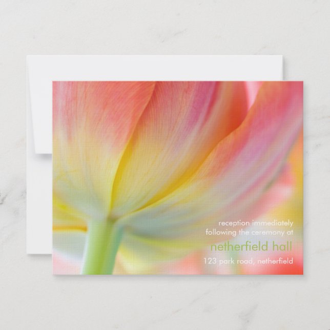 Colours of Spring • Wedding Reception Invitation (Front)