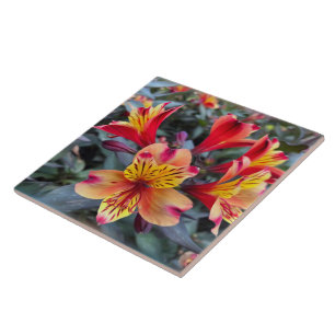 Colours of summer ceramic tile