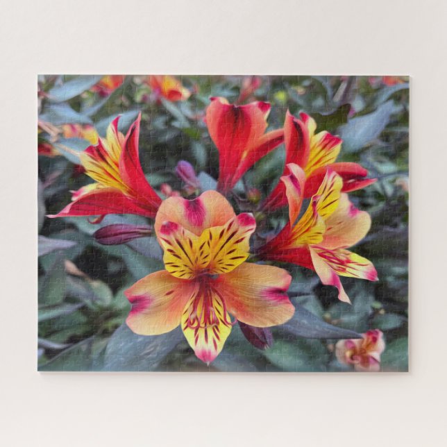 Colours of summer jigsaw puzzle (Horizontal)