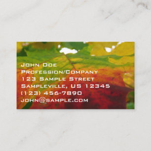 Colours of the Maple Leaf Autumn Nature Photograph Business Card