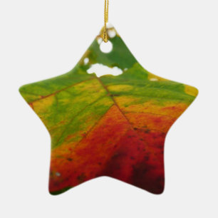 Colours of the Maple Leaf Autumn Nature Photograph Ceramic Ornament