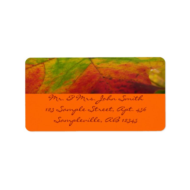 Colours of the Maple Leaf Autumn Nature Photograph Label (Front)