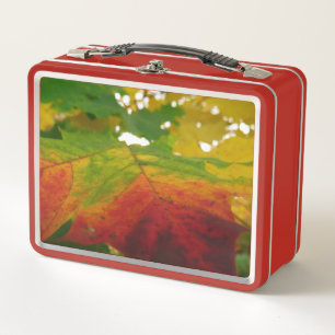 Colours of the Maple Leaf Autumn Nature Photograph Metal Lunch Box