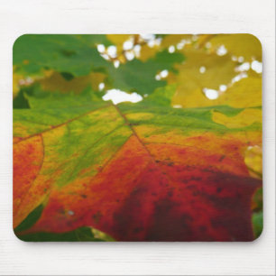 Colours of the Maple Leaf Autumn Nature Photograph Mouse Pad