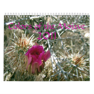 Colours of the Mojave 2011 Calendar