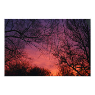 "Colours" Photo Print