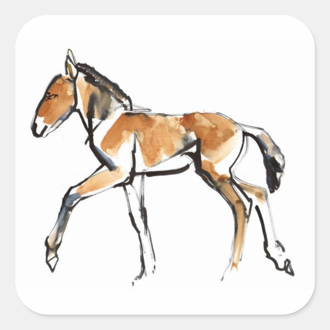 Colt Square Sticker (Front)