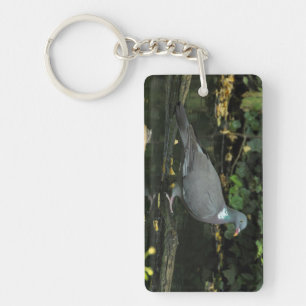 Columba palumbus key ring