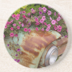 Columbia Falls Coaster