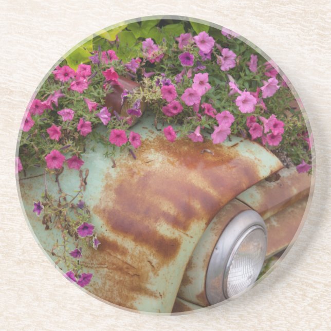 Columbia Falls Coaster (Front)