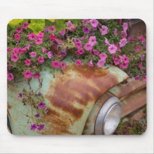 Columbia Falls Mouse Pad