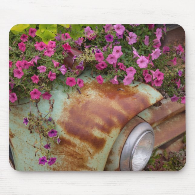 Columbia Falls Mouse Pad (Front)