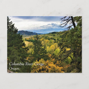 Columbia River Gorge, Oregon Postcard