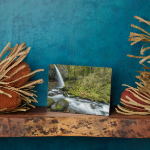 Columbia River Gorge, Ponytail Falls Plaque