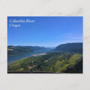 Columbia River, Oregon Postcard