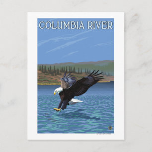 Columbia River, WashingtonEagle Diving Postcard