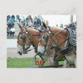 columbia tn postcard