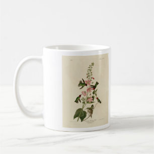 Columbian (Anna's) Humming Bird - Audubon's Birds Coffee Mug