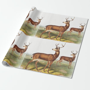 Columbian Black-tailed Deer (Cervus Richardsonii) Wrapping Paper